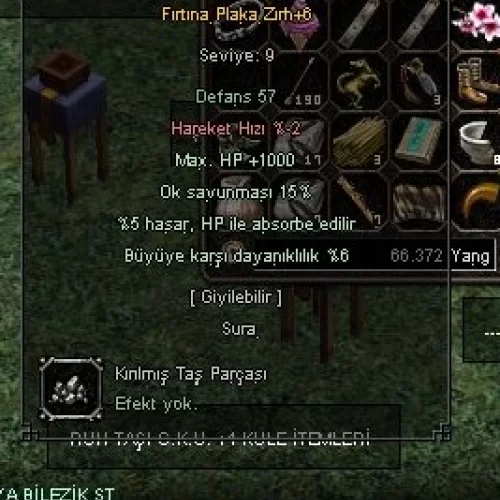  DÜŞÜK LEVEL ELİT SURA ZIRHI